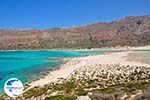 Balos beach Crete - Greece - Balos - Gramvoussa Area Photo 82 - Photo GreeceGuide.co.uk