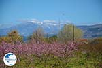 On the way to Giannitsa to Edessa | Pella Macedonia Photo 6 - Photo GreeceGuide.co.uk