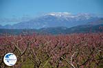 On the way to Giannitsa to Edessa | Pella Macedonia Photo 8 - Photo GreeceGuide.co.uk