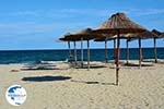 Beaches Pieria | Macedonia Photo 20 - Photo GreeceGuide.co.uk