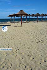 Beaches Pieria | Macedonia Photo 22 - Photo GreeceGuide.co.uk
