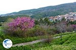 Neos Panteleimon near Platamonas | Pieria Macedonia | Greece Photo 3 - Photo GreeceGuide.co.uk