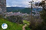 Castle Platamonas near Neos Panteleimon | Pieria Macedonia | Photo 2 - Photo GreeceGuide.co.uk