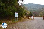 Nationaal Park of Olympus near Litochoro | Pieria Macedonia | Photo 2 - Photo GreeceGuide.co.uk