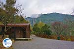 Nationaal Park of Olympus near Litochoro | Pieria Macedonia | Photo 3 - Photo GreeceGuide.co.uk