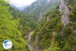 Enipeas gorge near Litochoro and Olympus | Pieria Macedonia | Greece Photo 4 - Photo GreeceGuide.co.uk