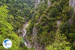 Enipeas gorge near Litochoro and Olympus | Pieria Macedonia | Greece Photo 5 - Photo GreeceGuide.co.uk