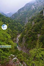 Enipeas gorge near Litochoro and Olympus | Pieria Macedonia | Greece Photo 8 - Photo GreeceGuide.co.uk