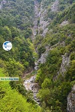 Enipeas gorge near Litochoro and Olympus | Pieria Macedonia | Greece Photo 10 - Photo GreeceGuide.co.uk