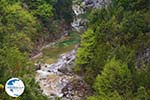 Enipeas gorge near Litochoro and Olympus | Pieria Macedonia | Greece Photo 11 - Photo GreeceGuide.co.uk