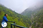 Enipeas gorge near Litochoro and Olympus | Pieria Macedonia | Greece Photo 12 - Photo GreeceGuide.co.uk