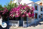 Nimborio Halki - Island of Halki Dodecanese - Photo 128 - Photo GreeceGuide.co.uk