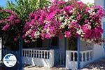 Nimborio Halki - Island of Halki Dodecanese - Photo 129 - Photo GreeceGuide.co.uk