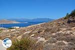 Nimborio Halki - Island of Halki Dodecanese - Photo 196 - Photo GreeceGuide.co.uk