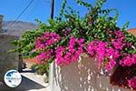 Nimborio Halki - Island of Halki Dodecanese - Photo 198 - Photo GreeceGuide.co.uk