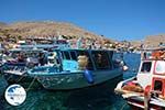 Nimborio Halki - Island of Halki Dodecanese - Photo 212 - Photo GreeceGuide.co.uk