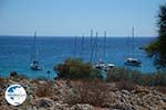 Pontamos Halki - Island of Halki Dodecanese - Photo 235 - Photo GreeceGuide.co.uk