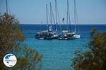 Pontamos Halki - Island of Halki Dodecanese - Photo 245 - Photo GreeceGuide.co.uk