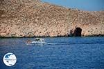 Nimborio Halki - Island of Halki Dodecanese - Photo 335 - Photo GreeceGuide.co.uk