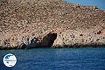 Nimborio Halki - Island of Halki Dodecanese - Photo 336 - Photo GreeceGuide.co.uk
