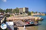 Starbeach Chersonissos - Hersonissos - Heraklion Prefecture Photo 3 - Photo GreeceGuide.co.uk