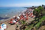 Starbeach Hersonissos - Heraklion Prefecture - Crete photo 73 - Photo GreeceGuide.co.uk