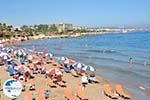 beach Starbeach Chersonissos - Beach near Starbeach Photo 7 - Photo GreeceGuide.co.uk