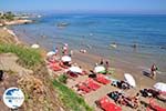 Starbeach Hersonissos - Heraklion Prefecture - Crete photo 78 - Photo GreeceGuide.co.uk