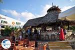 Bar StarBeach Chersonissos (Hersonissos) - Photo GreeceGuide.co.uk