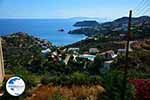 Agia Pelagia Crete - Heraklion Prefecture - Photo 59 - Photo GreeceGuide.co.uk