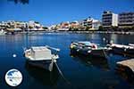Agios Nikolaos Crete - Lassithi Prefecture - Photo 19 - Photo GreeceGuide.co.uk