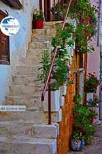 Chania city Crete - Chania Prefecture - Photo 27 - Photo GreeceGuide.co.uk