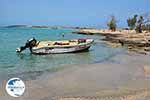 Elafonisi Crete - Chania Prefecture - Photo 1 - Photo GreeceGuide.co.uk