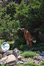 Imbros gorge Crete - Chania Prefecture - Photo 2 - Photo GreeceGuide.co.uk