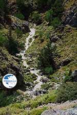 Imbros gorge Crete - Chania Prefecture - Photo 11 - Photo GreeceGuide.co.uk