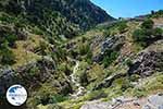 Imbros gorge Crete - Chania Prefecture - Photo 12 - Photo GreeceGuide.co.uk