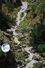 Imbros gorge Crete - Chania Prefecture - Photo 13 - Photo GreeceGuide.co.uk