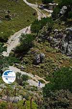 Imbros gorge Crete - Chania Prefecture - Photo 17 - Photo GreeceGuide.co.uk