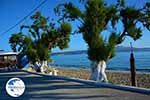 Kalives Crete - Chania Prefecture - Photo 17 - Photo GreeceGuide.co.uk