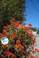 Kaliviani Crete - Chania Prefecture - Photo 3 - Photo GreeceGuide.co.uk
