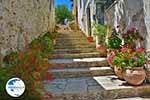 Katalagari Crete - Heraklion Prefecture - Photo 15 - Photo GreeceGuide.co.uk