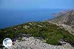 Koudoumas Crete - Heraklion Prefecture - Photo 18 - Photo GreeceGuide.co.uk