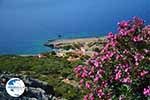Koudoumas Crete - Heraklion Prefecture - Photo 44 - Photo GreeceGuide.co.uk