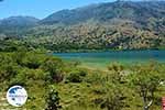 Kournas Crete - Chania Prefecture - Photo 26 - Photo GreeceGuide.co.uk