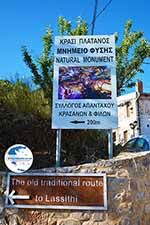 Krasi Crete - Heraklion Prefecture - Photo 1 - Photo GreeceGuide.co.uk