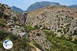 Preveli beach Crete - Rethymno Prefecture - Photo 12 - Photo GreeceGuide.co.uk