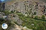 Preveli beach Crete - Rethymno Prefecture - Photo 17 - Photo GreeceGuide.co.uk