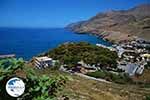 Sfakia Crete - Chania Prefecture - Photo 11 - Photo GreeceGuide.co.uk