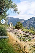 Delphi (Delfi) | Fokida | Central Greece  Photo 15 - Photo GreeceGuide.co.uk