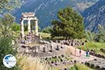 Delphi (Delfi) | Fokida | Central Greece  Photo 16 - Photo GreeceGuide.co.uk